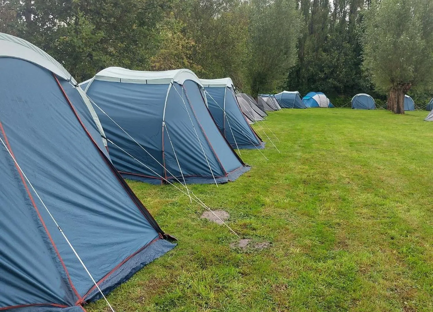 Campsite Pop Up Camping & Hotel Tomorrow'S Paradise & Private Transport Tml Schelle